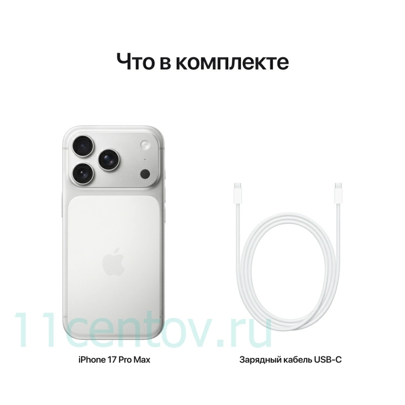 Картинка Apple iPhone 17 Pro Max 256Gb Silver eSIM от интернет-магазина электроники «11 Центов»