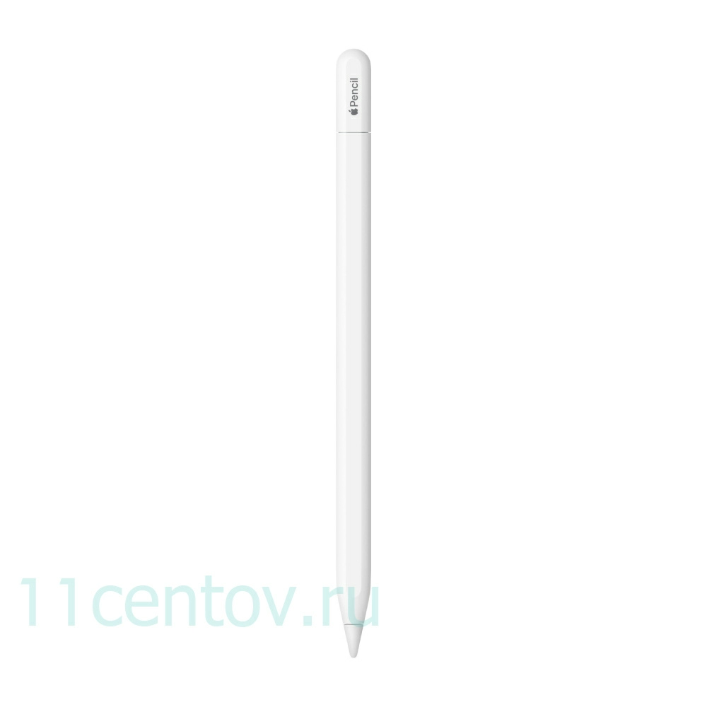 Картинка Стилус Apple Pencil (USB-C) MUWA3 от интернет-магазина электроники «11 Центов»