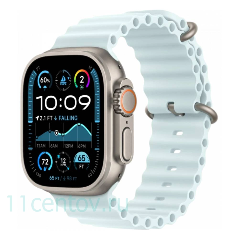 Картинка Apple Watch Ultra 2 Natural Titanium with Ocean Band Ice Blue от интернет-магазина электроники «11 Центов»