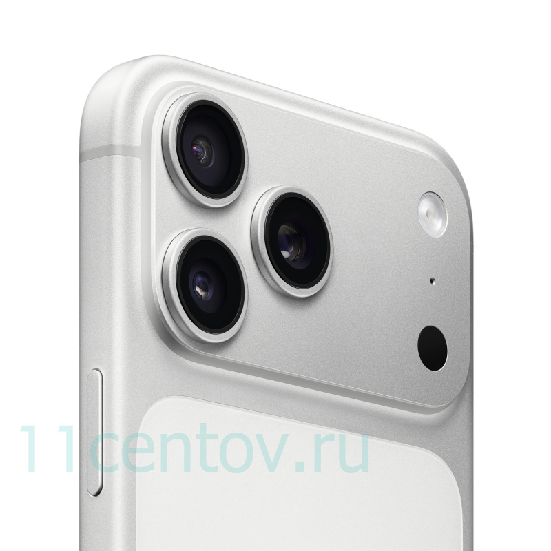 Картинка Apple iPhone 17 Pro Max 256Gb Silver eSIM от интернет-магазина электроники «11 Центов»