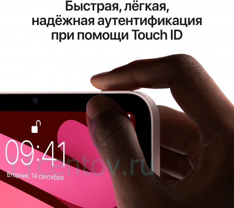 Картинка Apple iPad mini 2021 Wi-Fi 256Gb Starlight от интернет-магазина электроники «11 Центов»