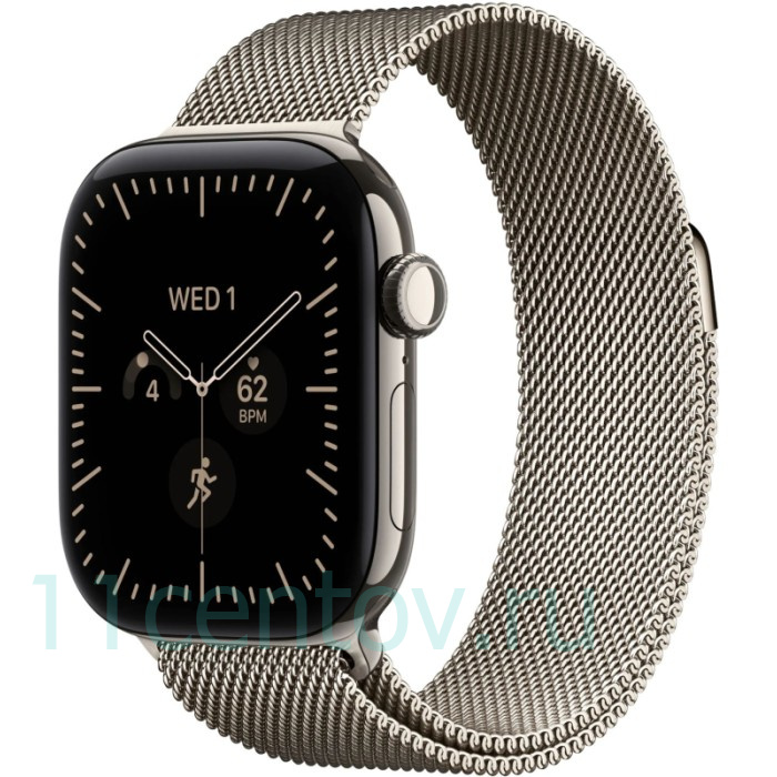 Картинка Apple Watch Series 12 GPS 46mm Natural Titanium Case with Natural Milanese Loop M/L от интернет-магазина электроники «11 Центов»