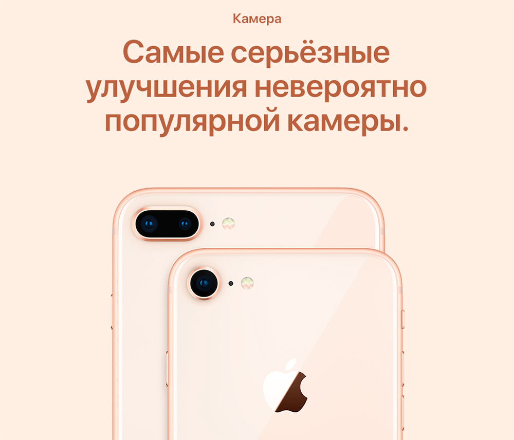 8_13.jpg 8_13.jpg