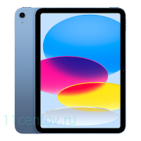 Apple iPad 10,9" 2022 Wi-Fi 256Gb Blue