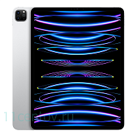 Apple iPad Pro 12,9" 2022 Wi-Fi + Cellular 1TB Silver