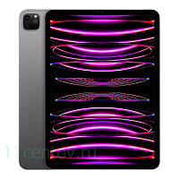 Apple iPad Pro 11" 2022 Wi-Fi 256GB Space Gray